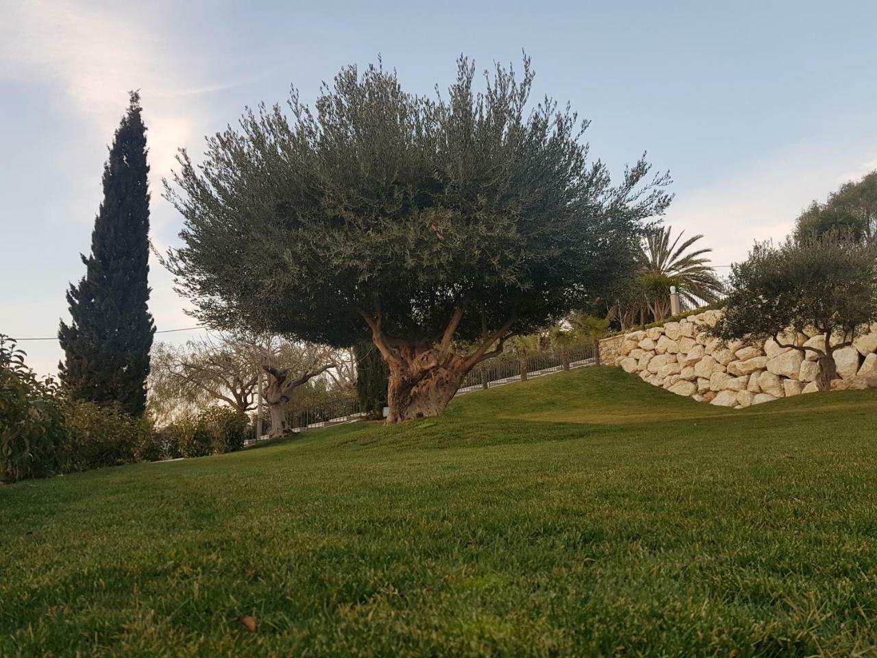 Hotel Villa Flora Relais Caltanissetta Buitenkant foto